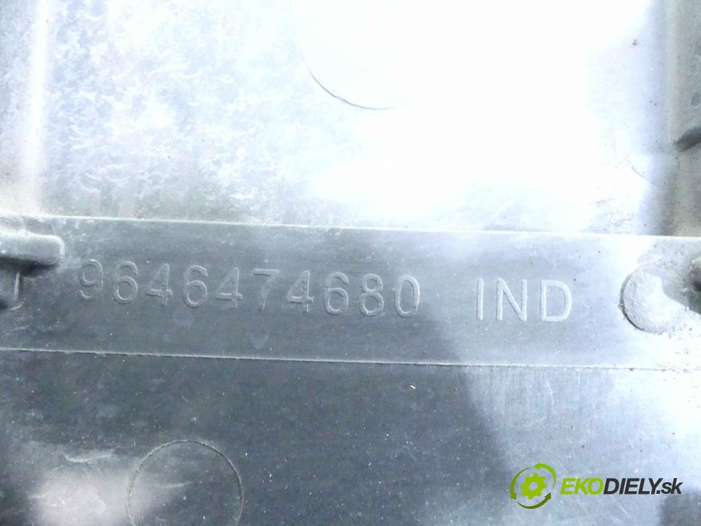 Citroen C5 II 2008-2017 2.0 16v 140 HP manual 103 kW 1997 cm3 4- pas predný 9646474680 (Výstuhy predné)