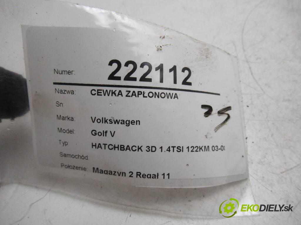 Volkswagen Golf V    HATCHBACK 3D 1.4TSI 122KM 03-08  Cievka zapaľovacia 036905715E (Zapaľovacie cievky, moduly)